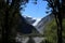 Through trees Fox Glacier, Te Moeka o Tuawe, NZ