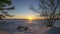 Trees in front of sunset by frozen lake Superior