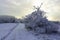 Trees frozen on Velka Javorina, the top hill of the White Carpathians in winter