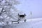 Trees frozen on Velka Javorina, the top hill of the White Carpathians in winter