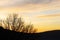 Trees and gentle hills black silhouette at sunset