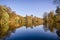 Trees at a glassy lake