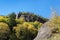 Trees on a granite hill