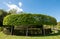 Trees, grass and shrubs in nature with blue sky in the background. Photographed at Ascott House, Leighton Buzzard, UK