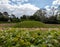 Trees, grass and shrubs in nature with blue sky in the background. Photographed at Ascott House, Leighton Buzzard, UK