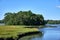 Trees and grass in the Westport River in MA, with an egret in the foreground