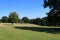 Trees and green fields under a beautiful blue sky