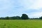 Trees with green hills and cloudy blue sky