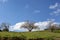 Trees in green meadows in spring season