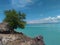 Trees grow on a coral reef in tablolong beach