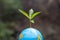 Trees that grow on the globe. Planting trees to reduce global warming, environment Earth Day, Forest conservation concept