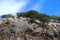 Trees grow on the rock. Clear blue sky.