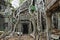 Trees grow on the ruins of the ancient Ta Prohm temple.