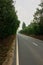 Trees grow on the sides of the outgoing road