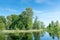 Trees growing near the lake in a park in spring. Spring landscape. Nice sunny weather.