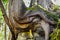 Trees Growing out of Rocks  Cherney Maribel Caves County Park