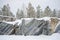 Trees, growing on rocks Marble quarry, january day. Ruskeala, Karelia