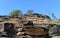 Trees growing on rocky mountain at Udayagiri Caves Vidisha