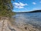 Trees growing on the shore of Smiths Lake