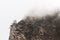 Trees growing on the slope of the Crimean mountains in the fog. Mystical picture of the mountains in the fog.