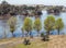 Trees in Guadiana river