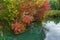 Trees hanging over the river in deep autumn. Foliage in autumn coloring