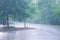 Trees and heavy rain outdoor in summer thunderstorm