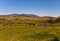 Trees&hills, blue sky, a herd of horses, creek, summertime, Siberia, Russia, Hakasia