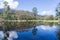 Trees and hills reflected in a lake near Marysville, Australia