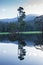 Trees and hills reflected in a lake near Marysville, Australia