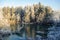 Trees in hoarfrost, frost on the trees