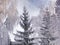 Trees in hoarfrost, high spruce behind a slatted fence, winter landscape