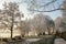 Trees with hoarfrost in the sunshine in winter