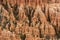 Trees and Hoodoos in Bryce Canyon Amphitheatre