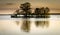 Trees on an island reflecting in water