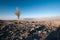 Trees on Jabal Shams Mountain, grand canyon of middle east, Oman