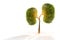 Trees kidneys, 3D environmental and medical concepts