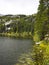 trees and a lake in the mountains in springtime