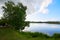 The trees and lake water