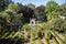 Trees and landscape of Jardim da Sereia Park in Coimbra