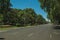 Trees on large avenue with flowered garden in Madrid