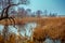 Trees without leaves along calm river. Autumn landscape