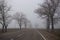 trees without leaves in the autumn in the fog by the road along which the car is driving in the distance. Dramatic