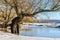 Trees with lichens mirrored in lake in winter