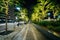 Trees with lights and a walkway at night, at Dilworth Park in the Center City of Philadelphia, Pennsylvania