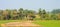 Trees lined up in an agriculture field panoramic view. Rural Indian Landscape Scenery. West Bengal India South Asia Pacific