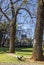 Trees losing their leaves in winter in the southern hemisphere, specifically in South Africa