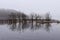 Trees in Lough Key foggy and flooded during winter