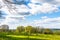 Trees and a meadow as nature springs to life