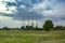 Trees in the meadow, dead trees and dark clouds in the sky